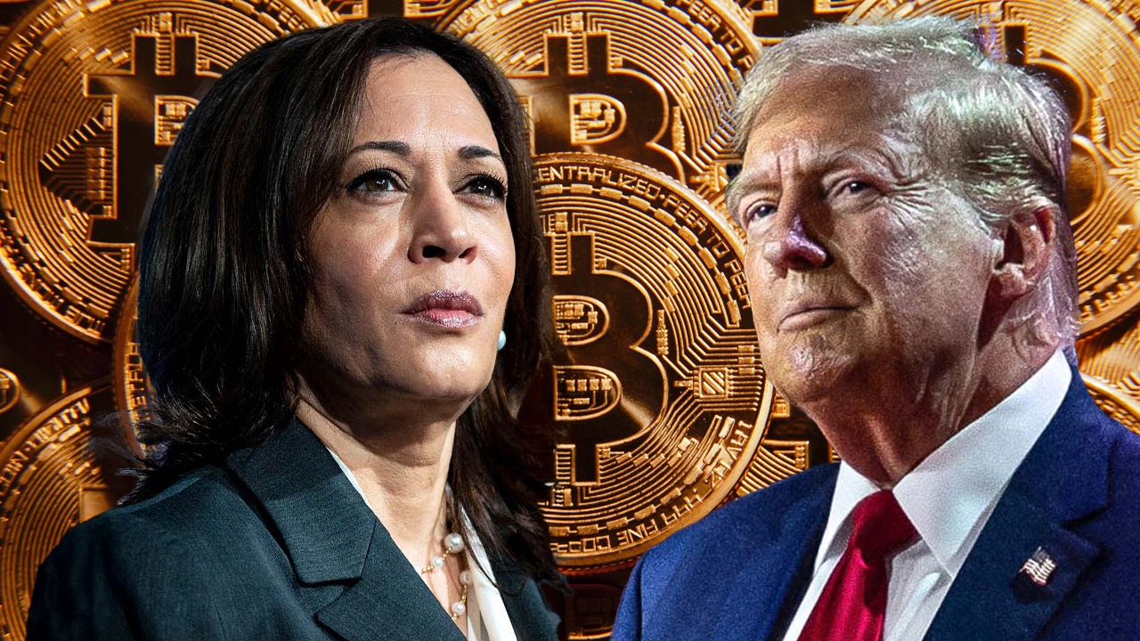 QCP Capital Analysts Highlight Impact of US Elections on Crypto Markets QCP Capital Analysts Highlight Impact of US Elections on Crypto Markets