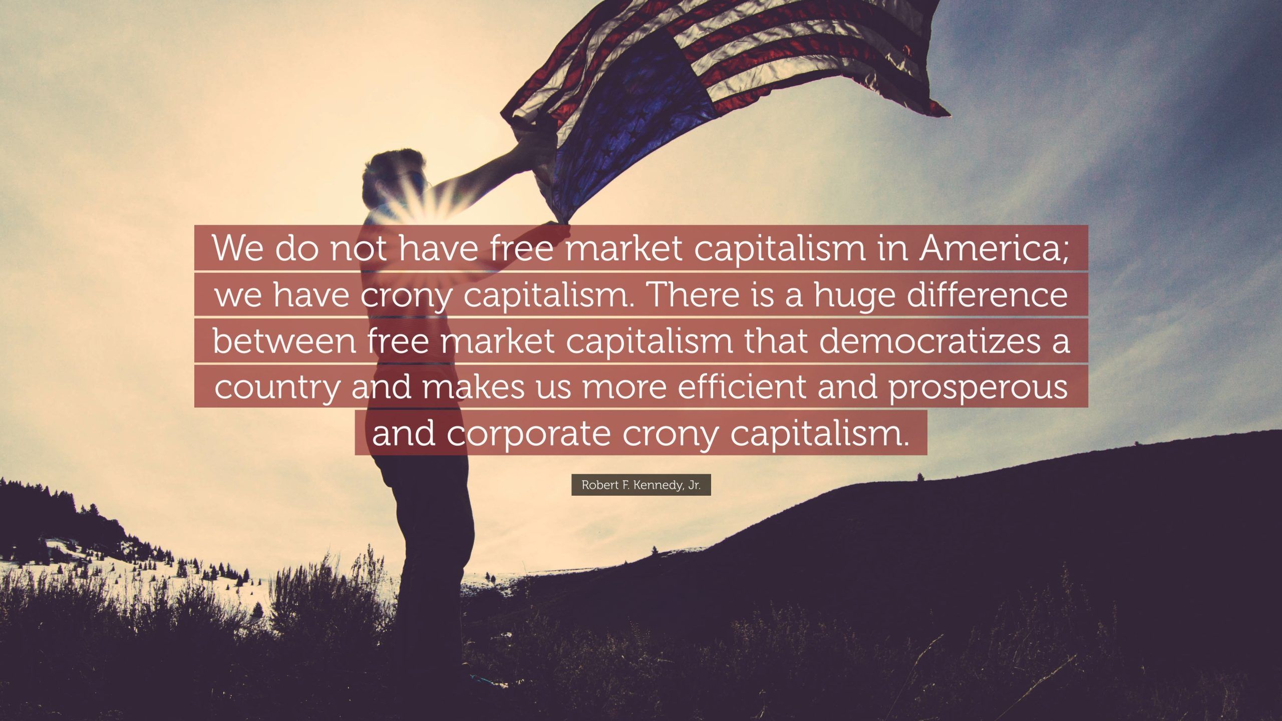 Free Market Capitalism vs. Crony Capitalism: Unveiling the Key Differences Free Market Capitalism vs. Crony Capitalism: Unveiling the Key Differences