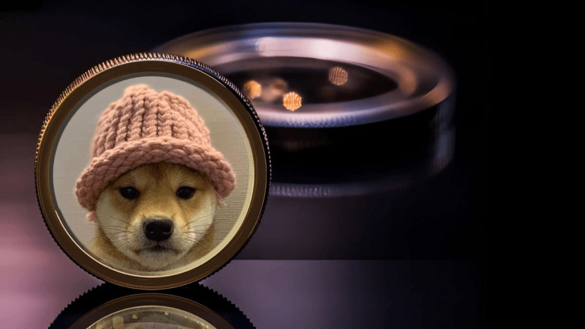 Dogwifhat Price Prediction: After 39% Pump, Are WIF and STARS Next to Explode Like Dogecoin? – Branded Spotlight Bitcoin News