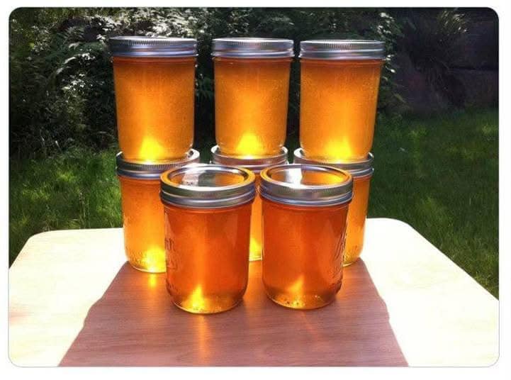 הצעות המחיר הראשונות של ביטקוין: איך משתמשי ביטקוין מוקדמים החליפו הון עבור מותרות יום-יומיות הצעות המחיר הראשונות של ביטקוין: איך משתמשי ביטקוין מוקדמים החליפו הון עבור מותרות יום-יומיות