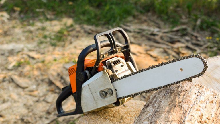 Milei Meets Musk: A Chainsaw Affair