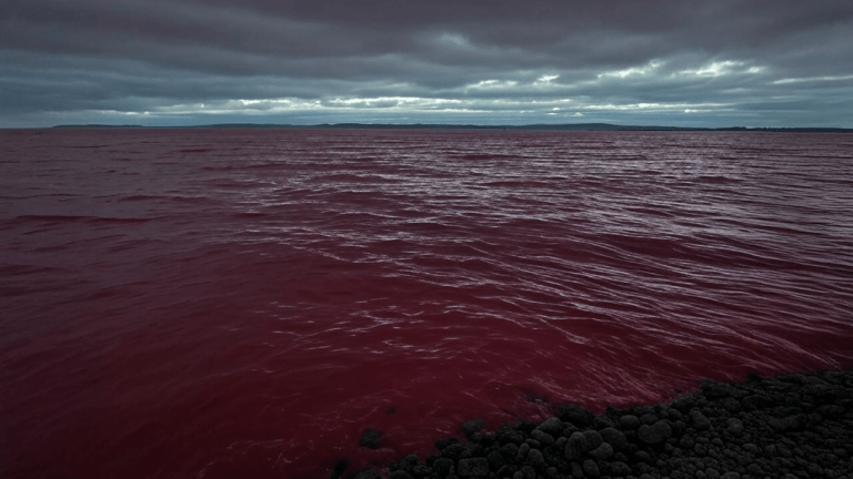 Sea of Red: Altcoins Bleed Billions, Crypto Market Sinks to .84 Trillion 