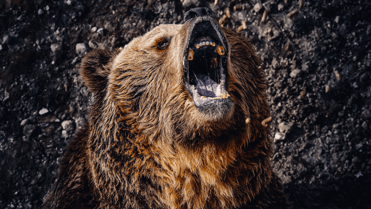 Bitcoin Price Watch: BTC’s Next Move Hinges on $83.5K Support Amid Low Demand – Markets and Prices Bitcoin News Bitcoin Price Watch: BTC’s Next Move Hinges on $83.5K Support Amid Low Demand – Markets and Prices Bitcoin News