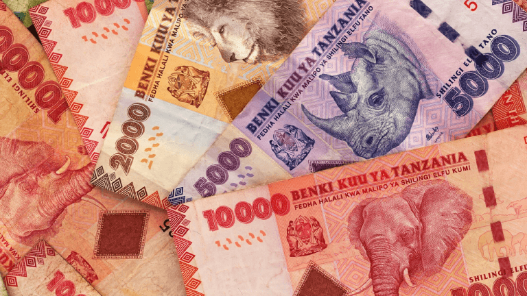 Tanzanian Shilling’s 8.9% YTD Drop Earns It World’s Worst-Performing Currency Status