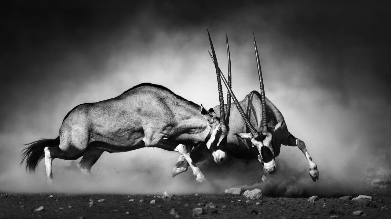 Sparks Fly at First-Ever SEC Crypto Roundtable - Bitcoin.com News