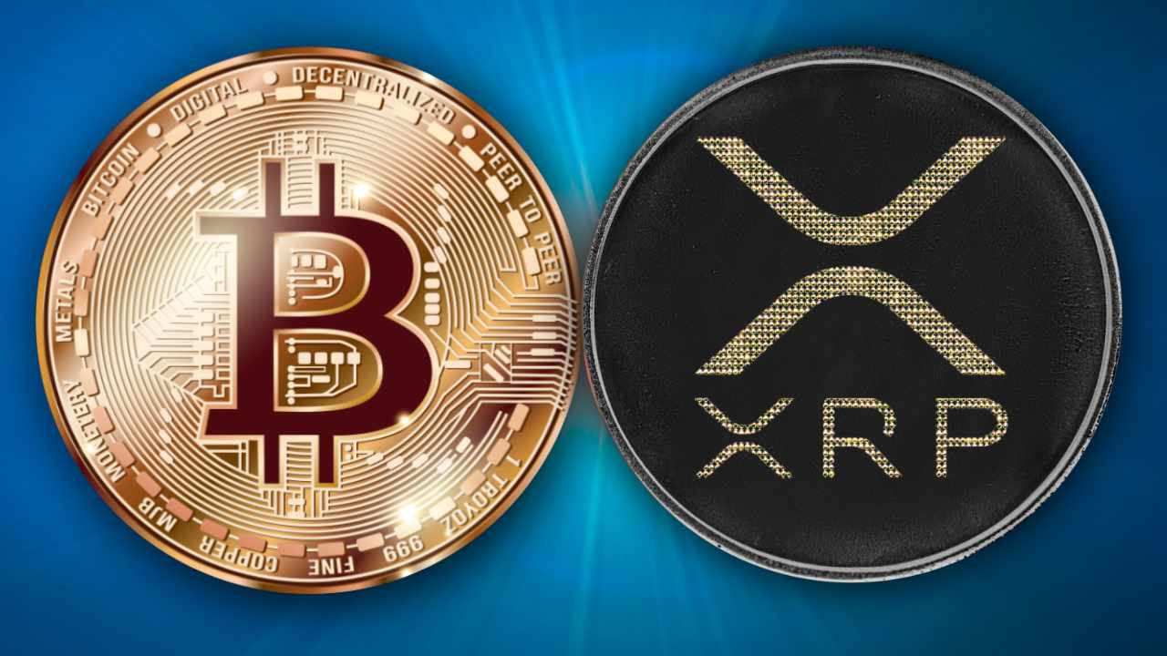 Ripple Donates ‘Skull of Satoshi’ — Says BTC and XRP Aren’t So Different