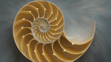 Fibonacci Retracement: Kompas Pedagang di Pasar Bitcoin