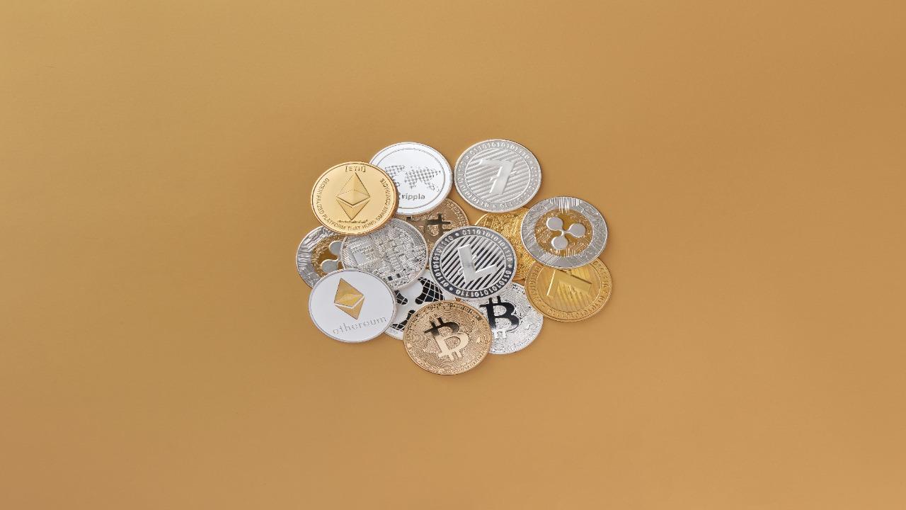 The Best Crypto Wallet for Gambling Daredevils – by BetUS