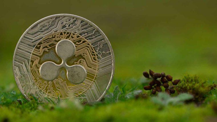Ripple Launches First-of-Its-Kind $25M RLUSD Fund to Support US Education