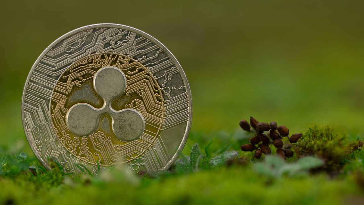 Ripple Launches First-of-Its-Kind M RLUSD Fund to Support US Education
