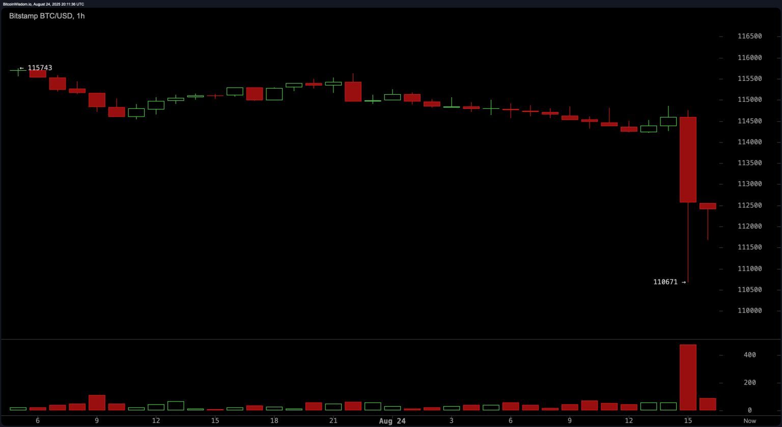 Gráfico que refleja la evolución del precio del bitcoin el 24 de agosto