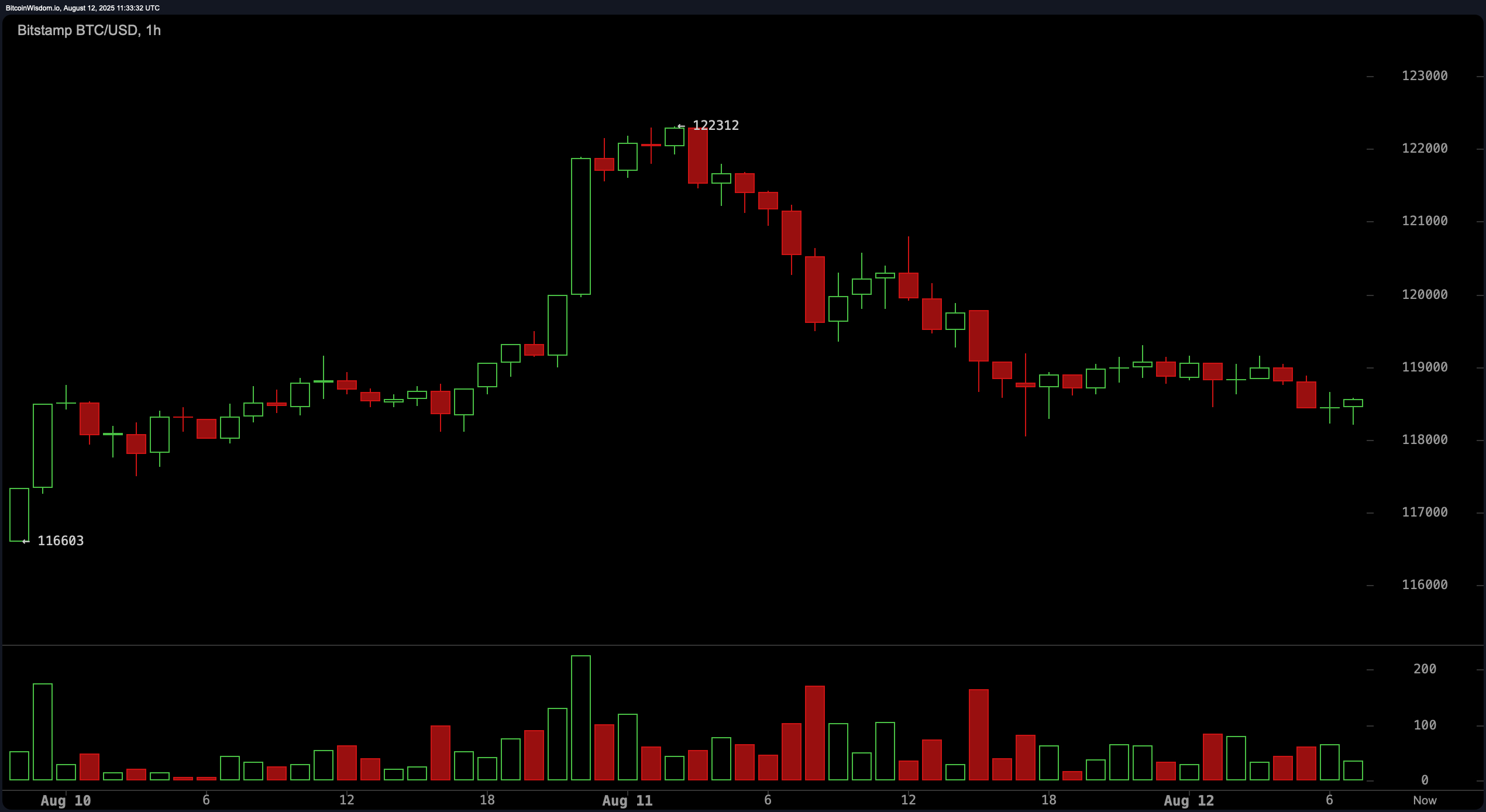 Bitcoin Price Watch: Consolidation Continues After $122K Rejection Bitcoin Price Watch: Consolidation Continues After $122K Rejection
