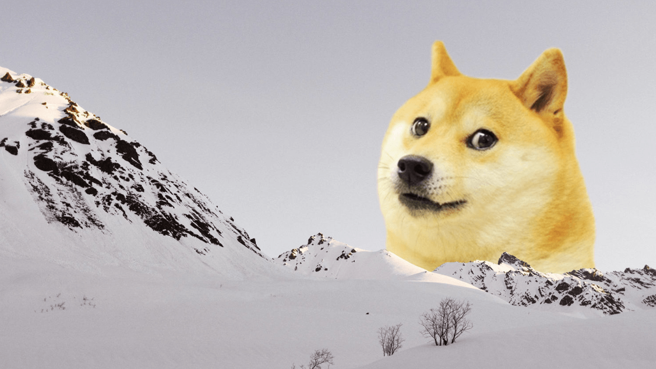 Meme Coin Market Climbs 23.9% Since Early July, Adding $14 Billion