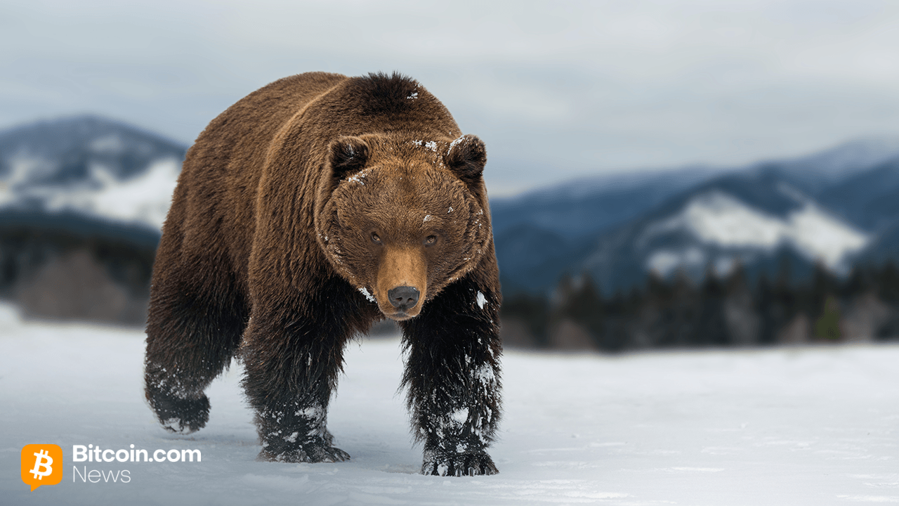 Bitcoin Price Watch: Bulls on Life Support as $111K Turns Into the Final Stand