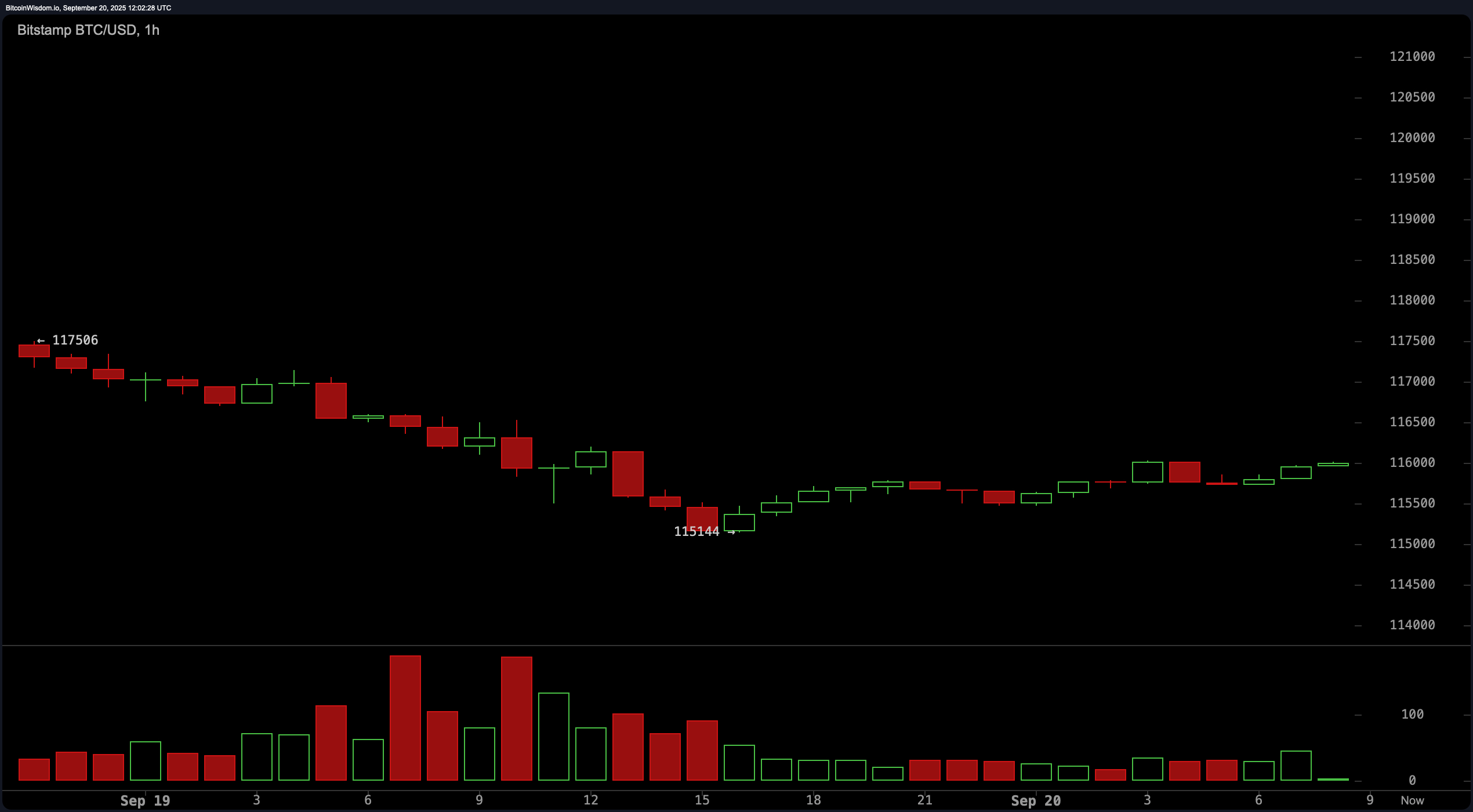 Bitcoin Price Watch: Bulls Eye $119K as Momentum Wavers – Markets and  Prices Bitcoin News