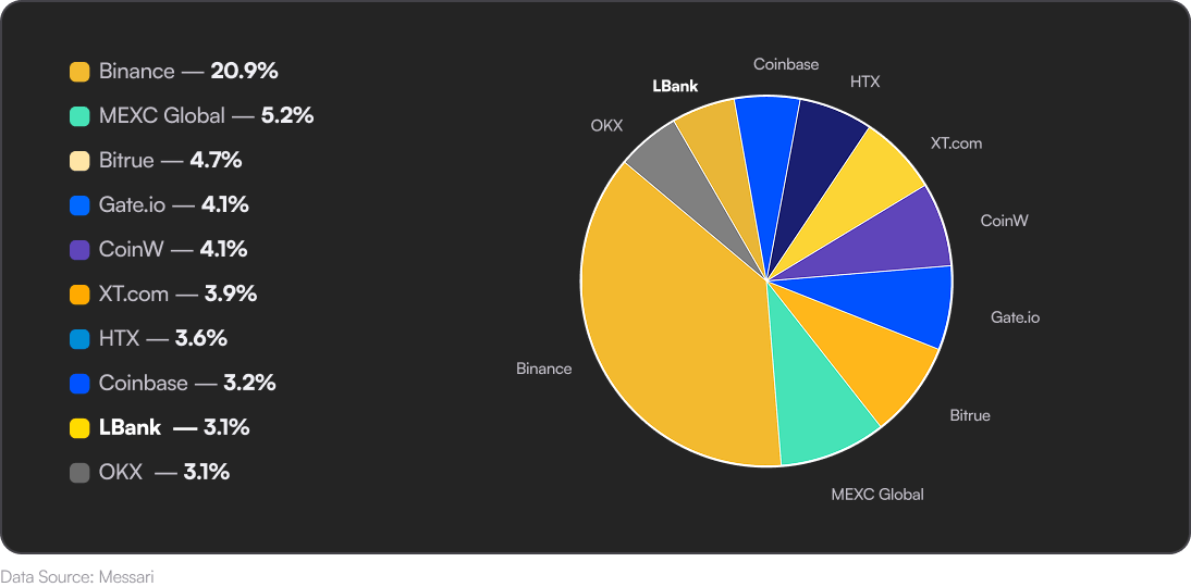 Crypto Exchanges 2025: Unearthing the Hidden Gems in Market Discovery