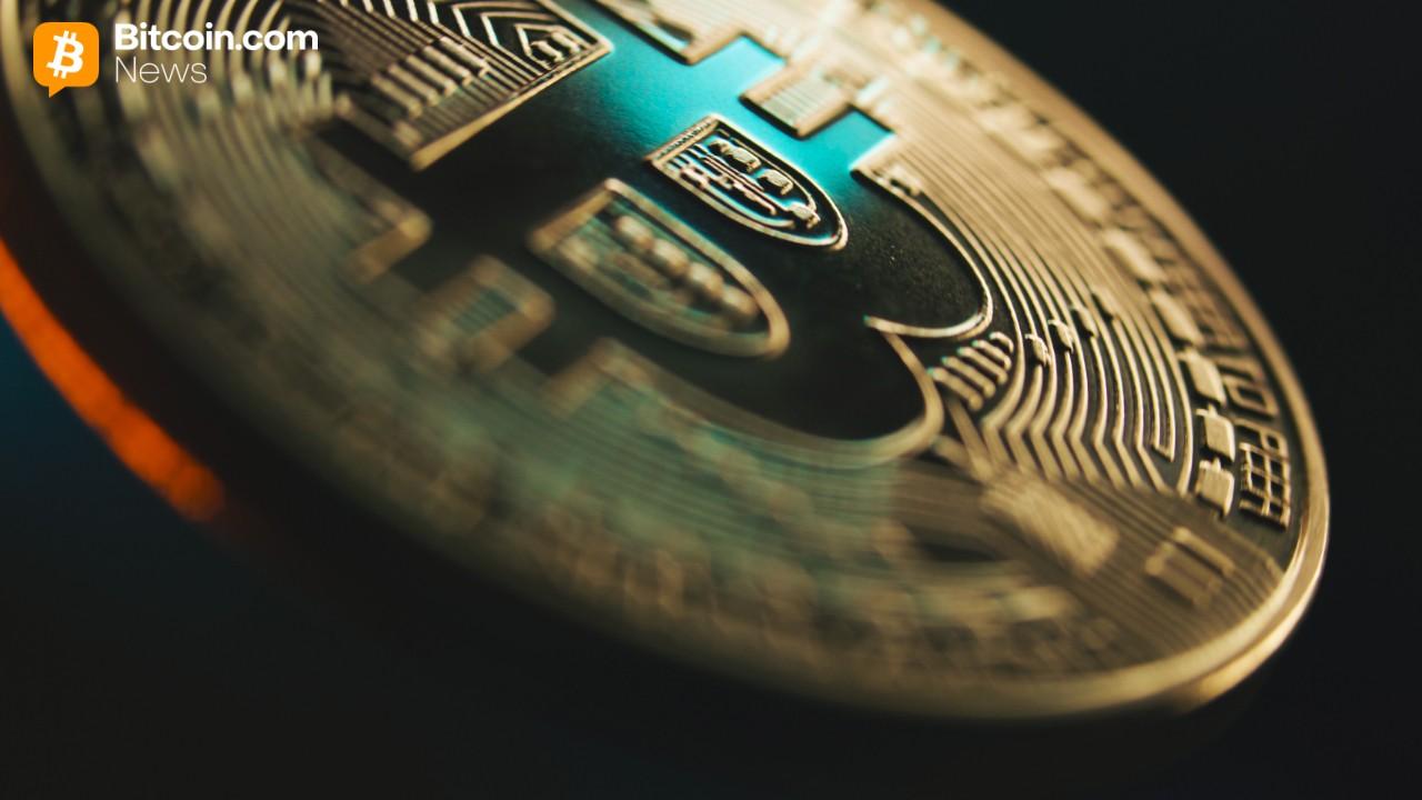 Bitcoin Sees Historic Institutional Uptake With 40% Rise in Public Company Holders
