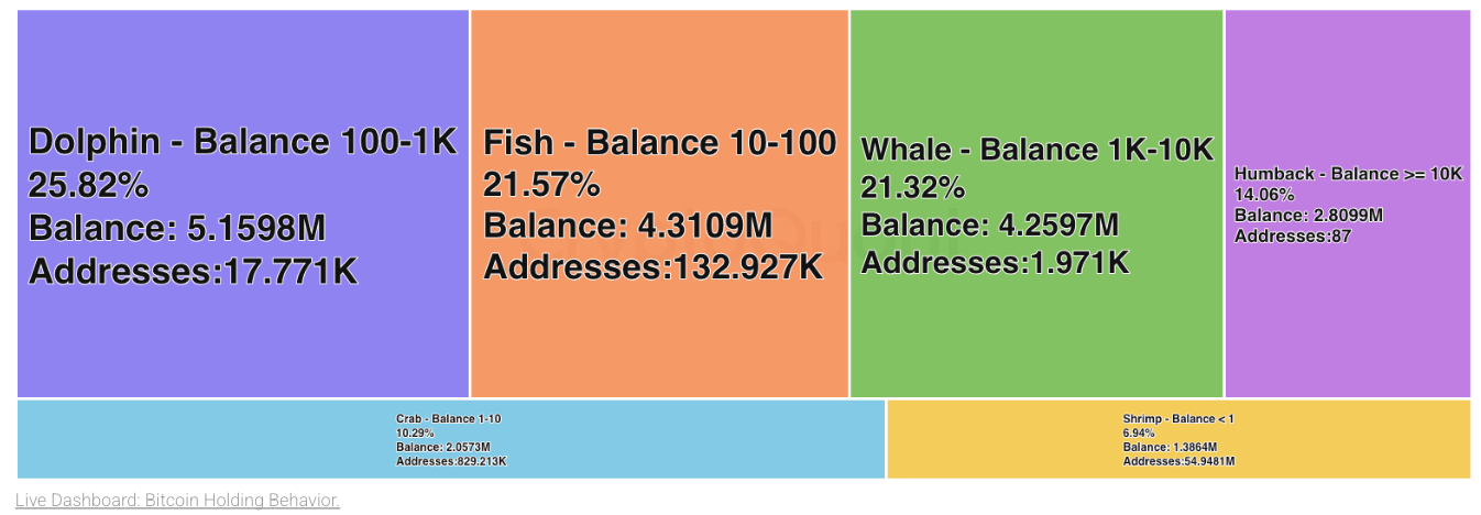 Cryptoquant Analysis