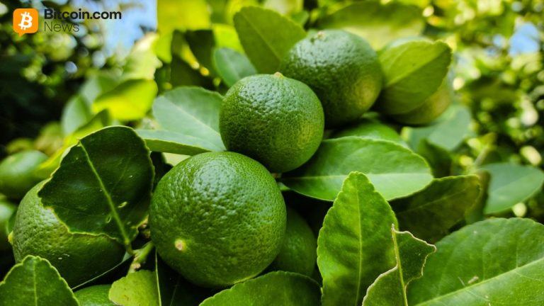 Crypto Investments Get Red Hot in Argentina: Lemon Raises M to Bankroll Latam Expansion