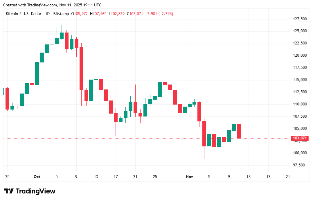 Bitcoin’s Down Again: Is It the Government Shutdown or AI?