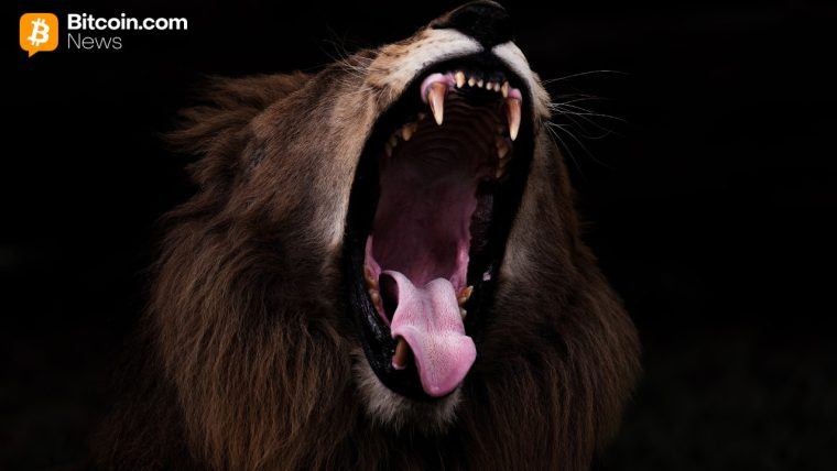 Bitcoin Eyes Explosive Rebound With Nasdaq-Size Moves Poised to Flip