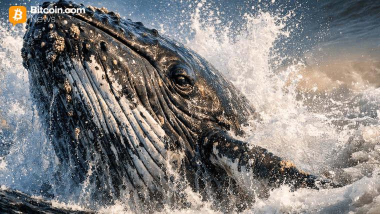 2016-Era Bitcoin Whale Suddenly Shifts 1,087 BTC in Onchain Awakening