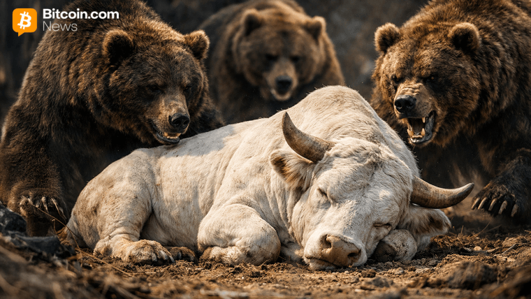 Bitcoin Price Rejection Drama: Will the $84K Safety Net Hold?