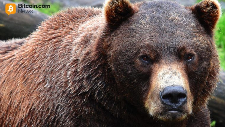 XRP Technical Outlook Flips Bearish as Psychological Support at $2.00 Tested