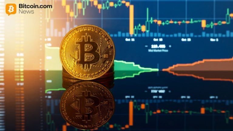 Mãos de Diamante Vencem: 85% dos Detentores de Bitcoin Mantiveram-se Firmes Durante a Queda de Fevereiro