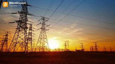 Differently Secured: Bitlease Founder Nima Beni on Why Falling Hashrates Aren't a Threat