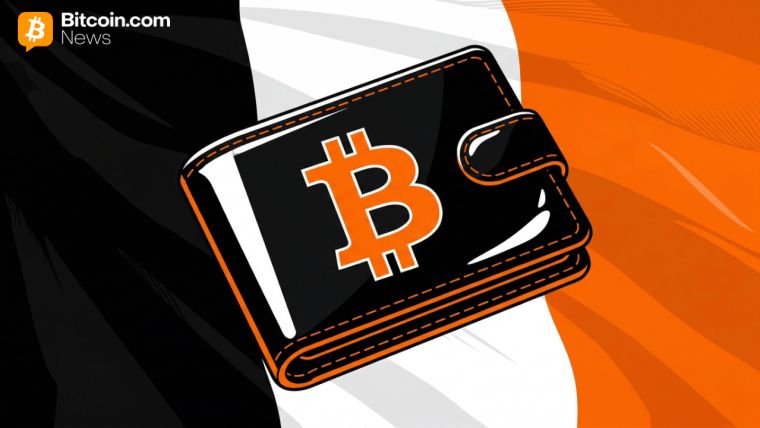 France Advances Law Mandating Self Custody Funds’ Disclosure