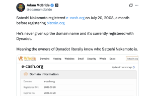 The Domain Satoshi May Have Dropped: E-cash.org Predates Bitcoin.org by 29 days The Domain Satoshi May Have Dropped: E-cash.org Predates Bitcoin.org by 29 days