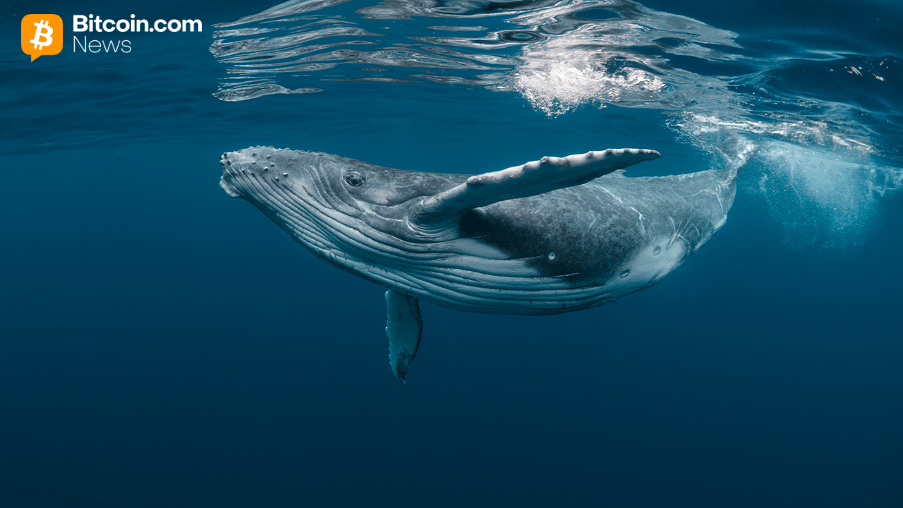 2013 Bitcoin Whale Wallet Transfers 500 BTC After 12 Years of Dormancy