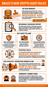 Infographic Explaingin Brazil's New Crypto Rules