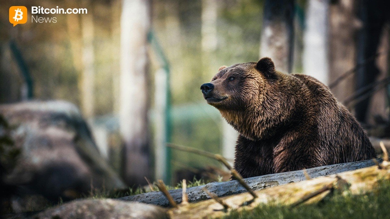 Cryptoquant’s Ki Young Ju Warns Bitcoin’s Bear Market Could Run Into Early 2027