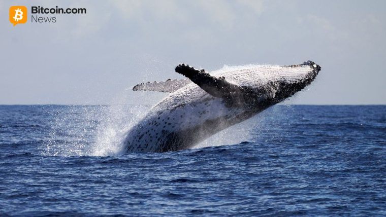 Whale Dumps $100M ETH Short, Pivots to $13.4M Bitcoin Bet at 20x Leverage