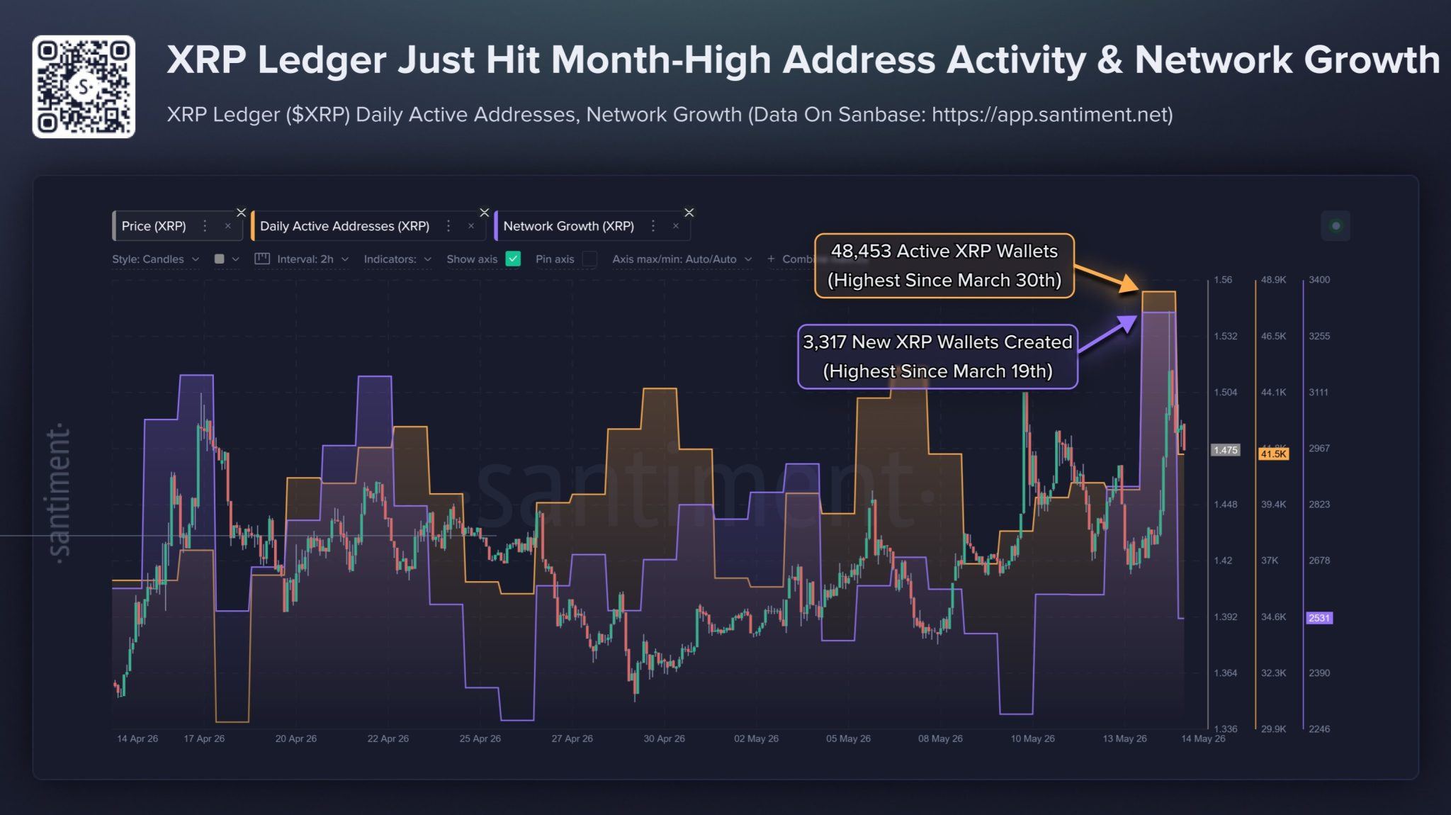 XRP Ledger Activity Jumps as Price Tests $1.55, Large Wallets Set Record