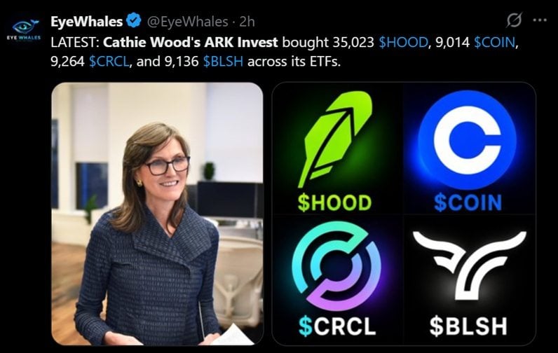 Tweet discussing Cahtie Woods's recent buy the dip purchases.