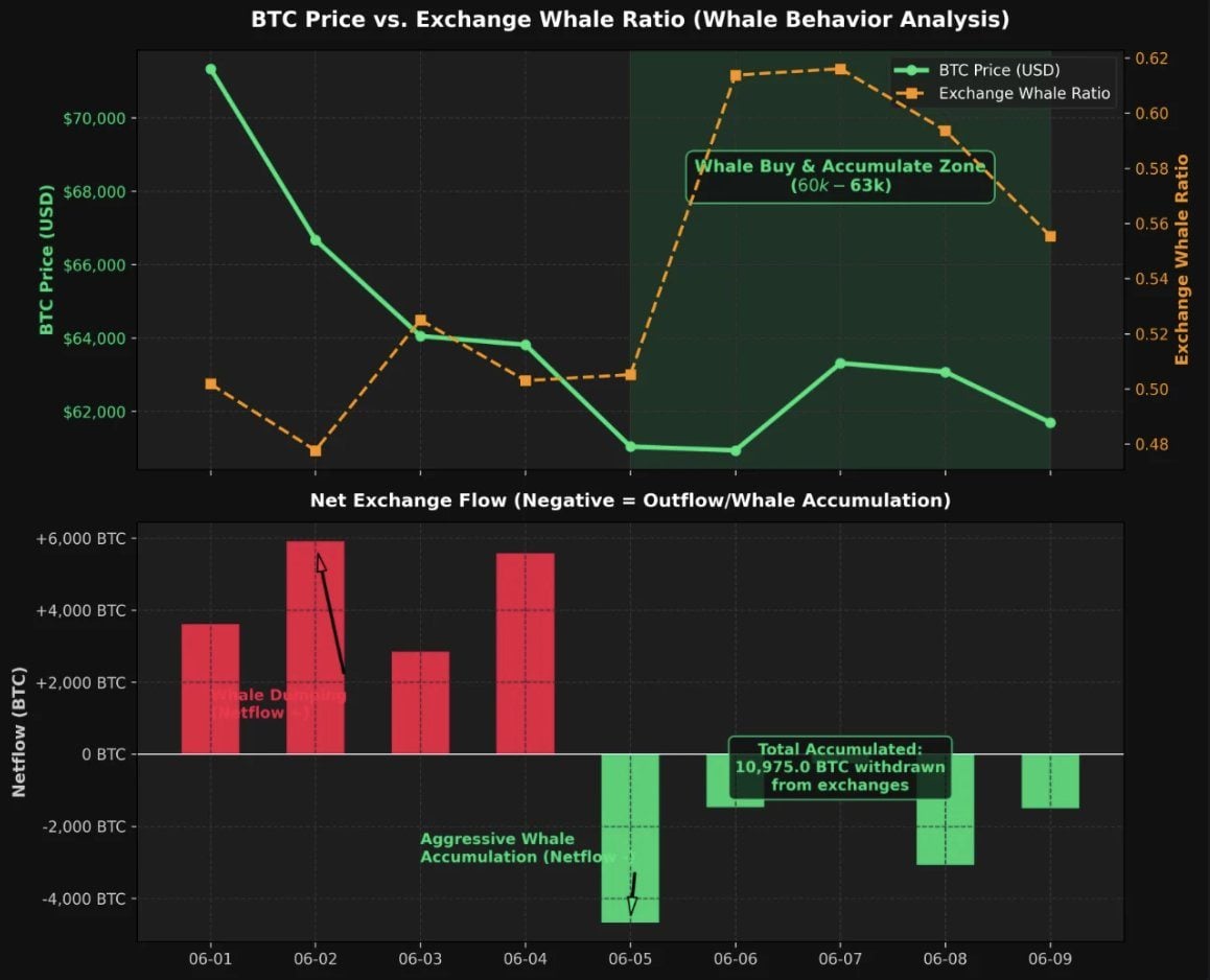 Chart showing increased whale activity during Bitcoin's recent slip to $59,000.