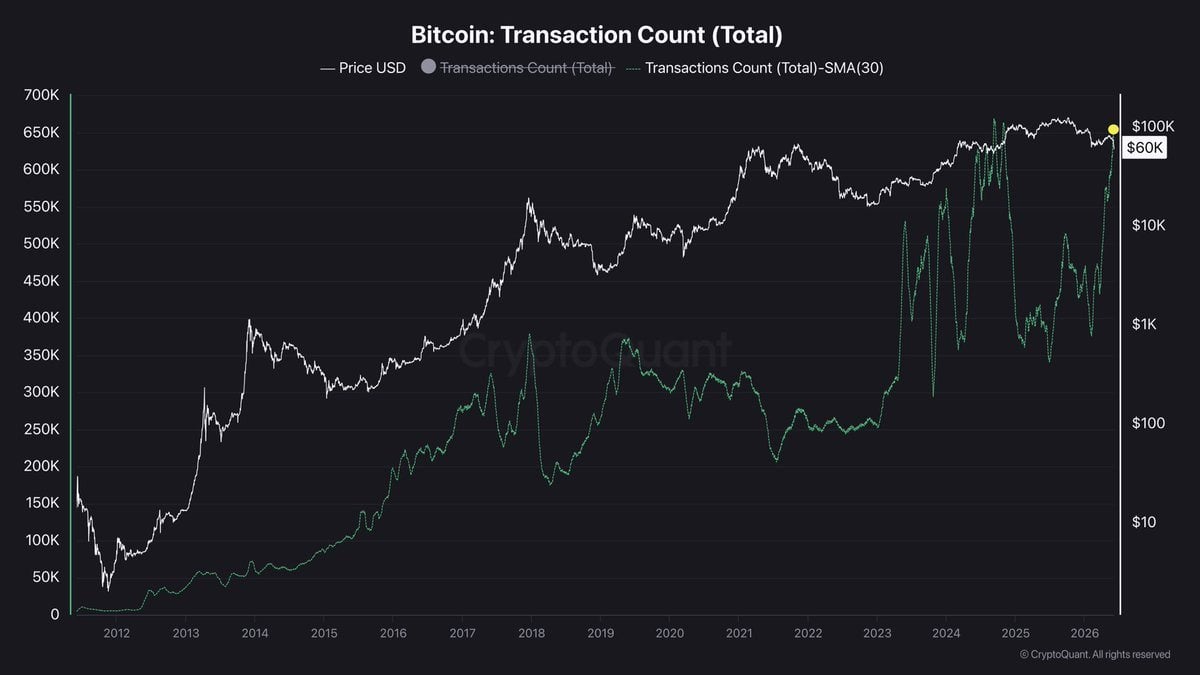 Why Is Bitcoin Crashing? Worst Week of 2026, $59,100 Low, and More Than Half of All BTC Now in the Red Cryptoquant chart showing price and transfer counts.