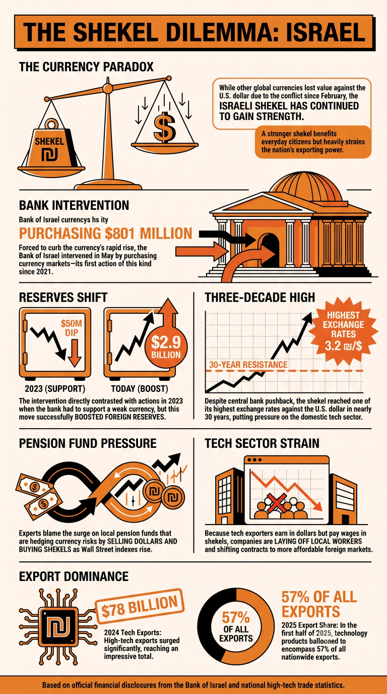 Infographic On Bank of Israel's FX intervention
