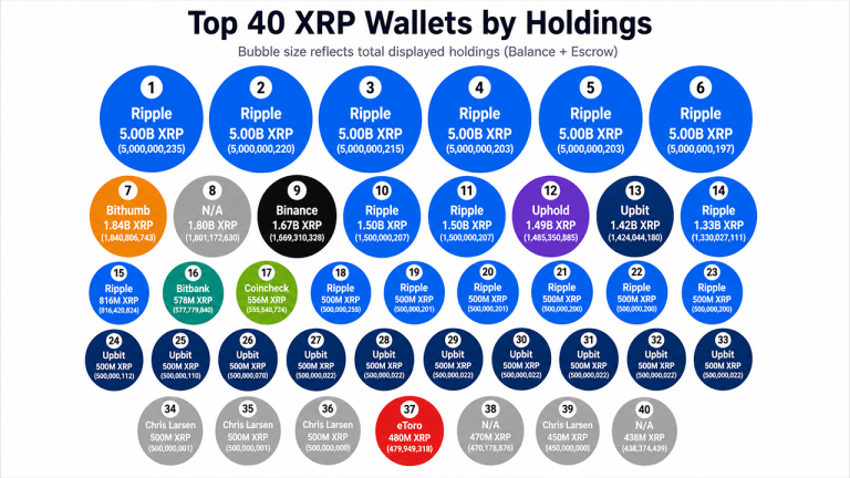 Top 40 XRP Wallets Hold 55 Billion Coins