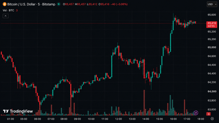 BTC Rebounds to $65,644 as Whale Buying Fever Intensifies