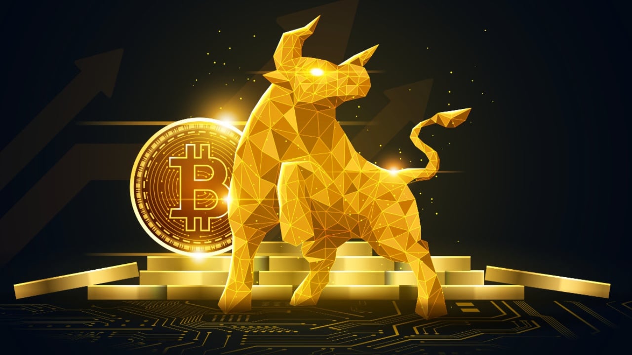 Bull Market in Sight: Bitwise Sees Bottom Forming Ahead of Fall Rally