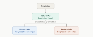 Les fractionnements de la chaîne Bitcoin expliqués : pourquoi chaque détenteur de BTC obtient un nouvel actif 1:1 Visuel de l'historique UTXO.