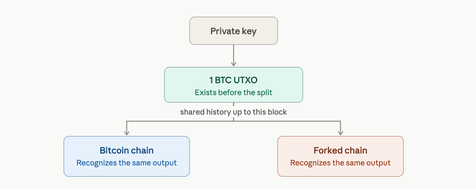 UTXO history visual. 