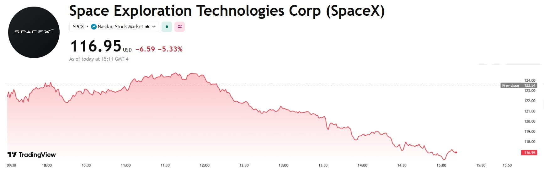 Cathie Wood Says SpaceX Could Become 'the Most Important Company in History' Despite 48% Stock Slide