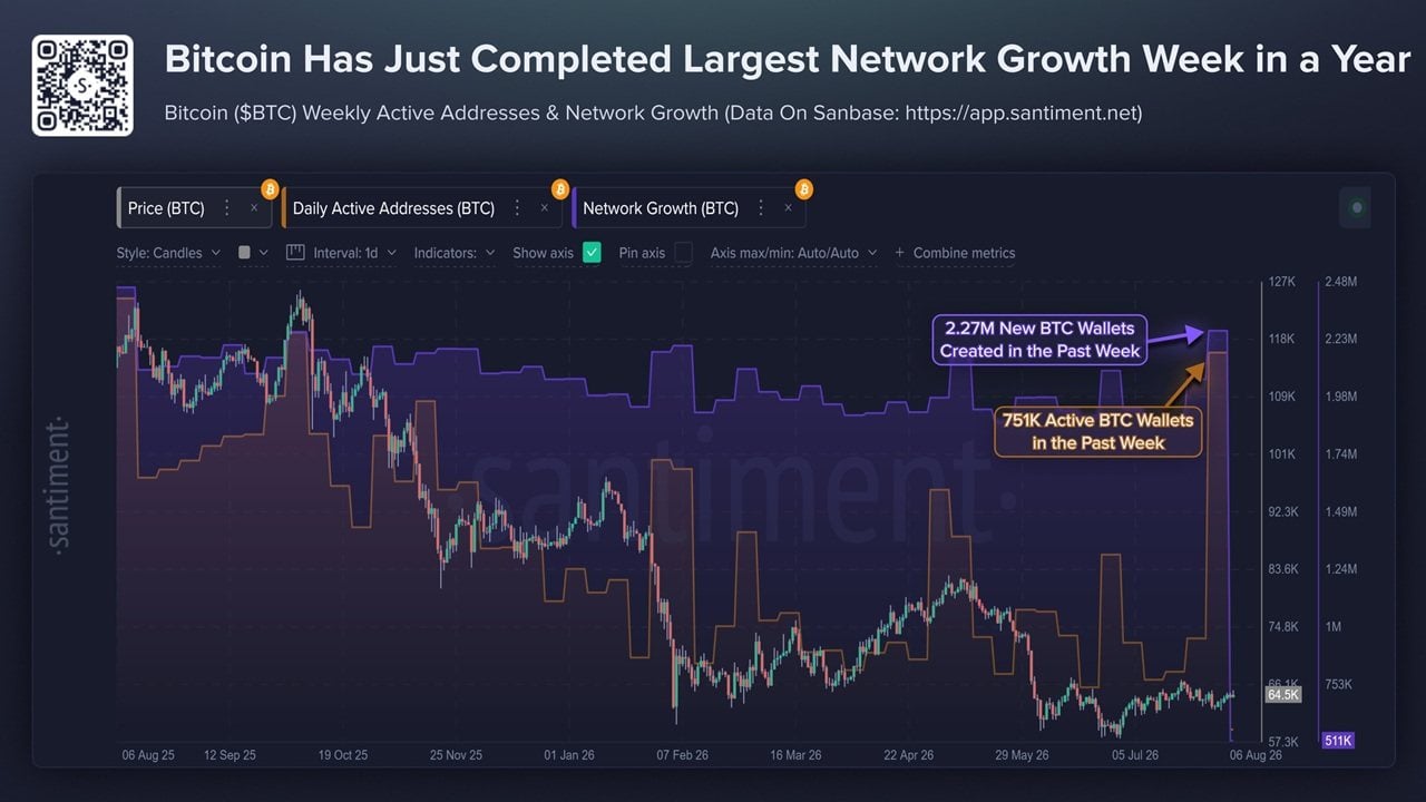 Bitcoin Wallets Spike to 2026 High as Coldcard Hack Fallout Spreads