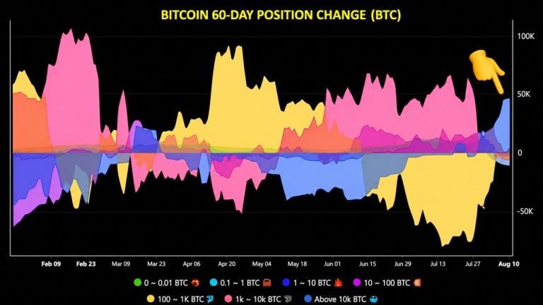 Bitcoin Whales Add 43,000 BTC, Ending Months-Long Selling Spree