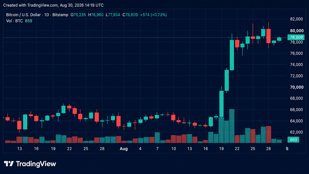 Bulls Reload for Another Assault on $81K as Bitcoin’s Price Rises